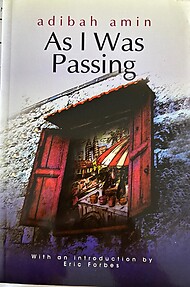 As I Was Passing - Abidah Amin